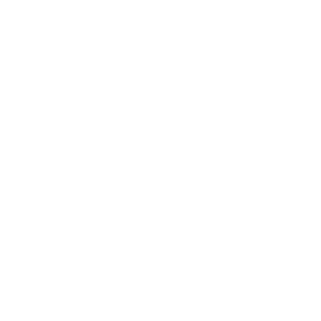 Patrick Vitry